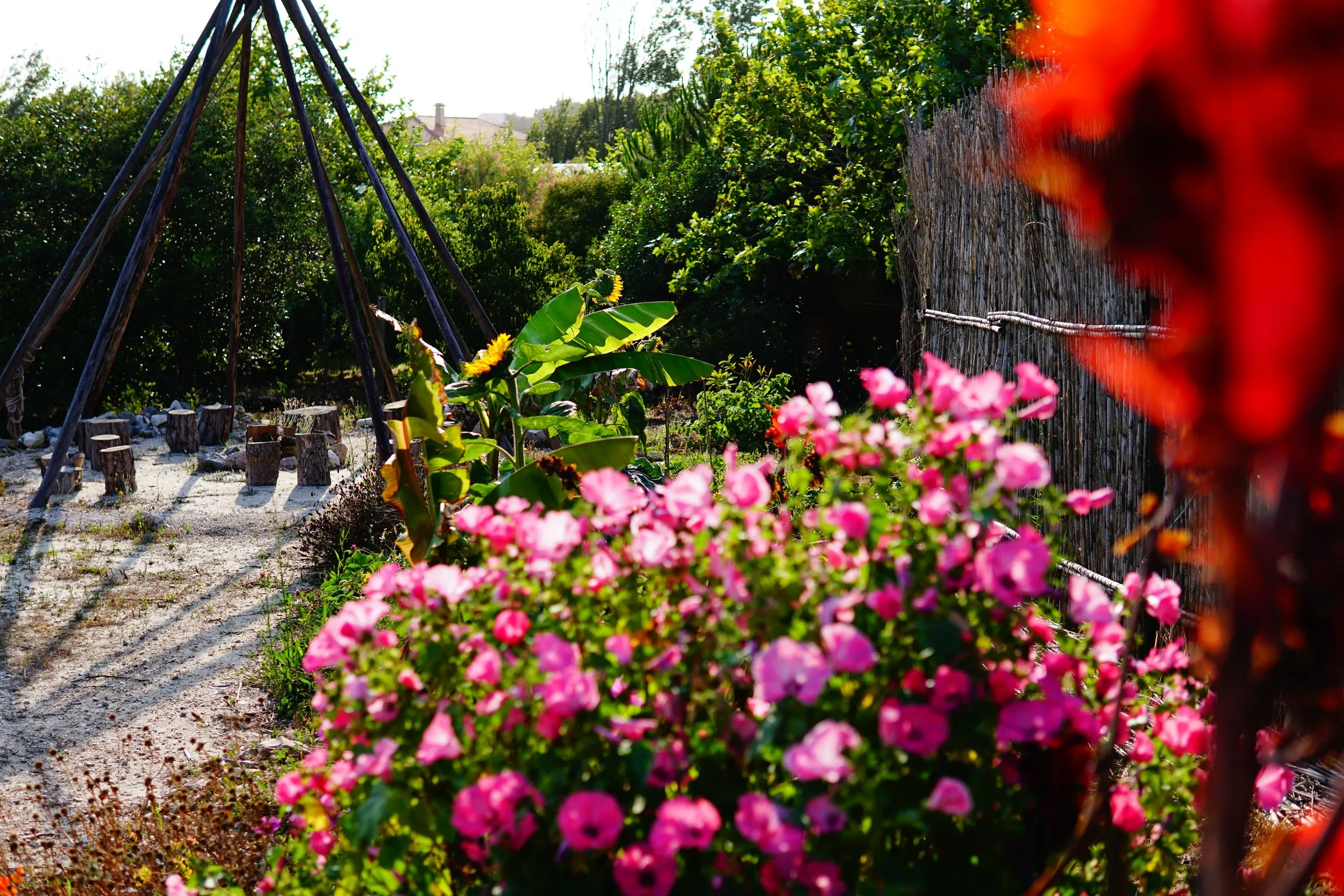Flowering garden in front of the bamboo tipi at Zee Barn