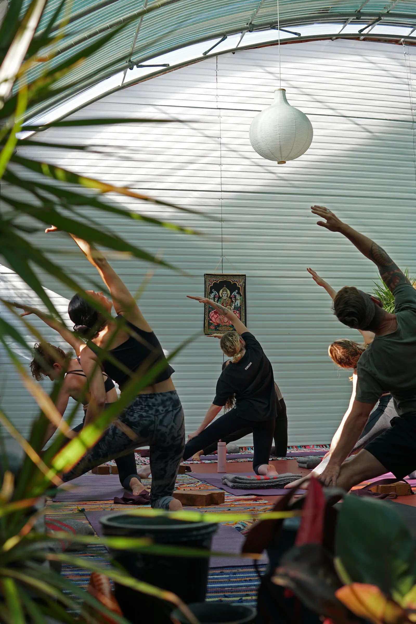 Yoga class among plants in the light-filled practice space